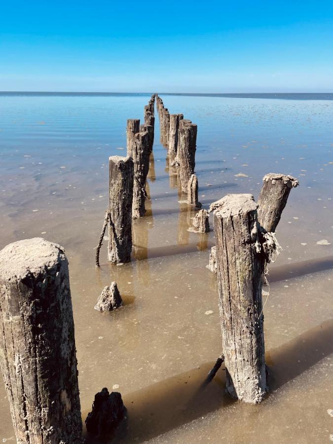 Ferienwohnung „Deichgefluester“ Nahe Der Nordsee Marne Exterior foto