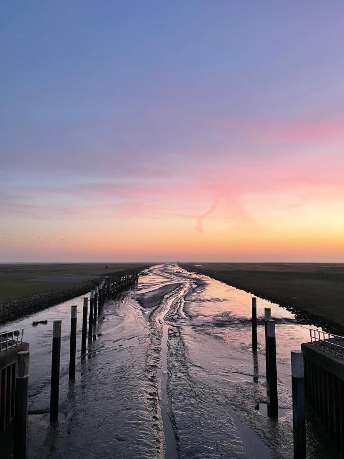 Ferienwohnung „Deichgefluester“ Nahe Der Nordsee Marne Exterior foto